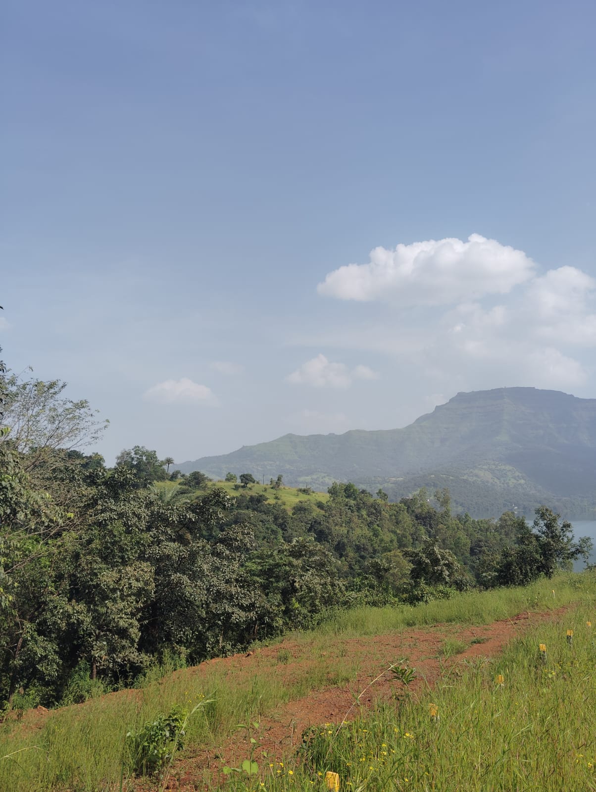 Serenity Hills Plots for sale Kanand, Rajgad (Velhe) , Velhe Individual Agriculture Land